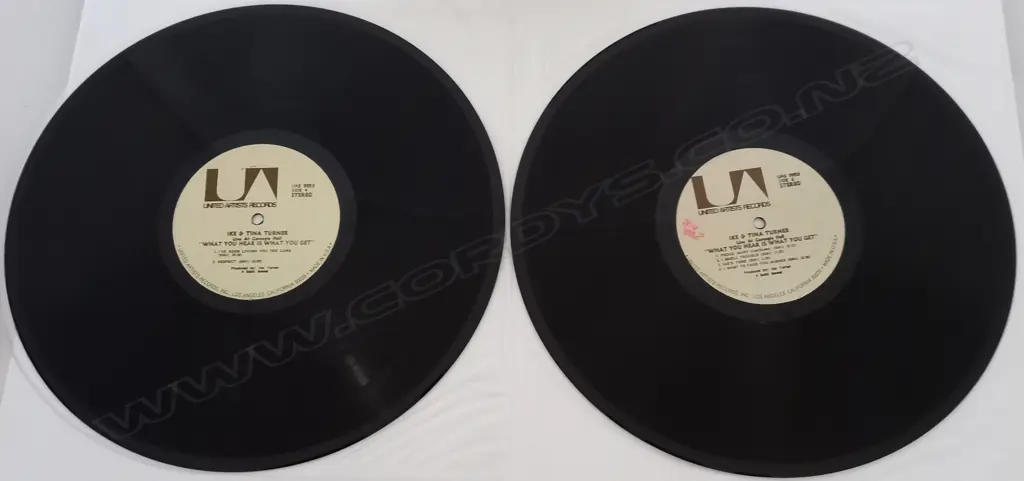 Ike & Tina Turner, What You Hear Is What You Get - Live At Carnegie Hall, (Double Album) Image 1++